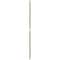Ekena Millwork 19 5/8in. W x 19 5/8in. H Coralie EnduraWall Decorative 3D Wall Panel Covers 2.67 Sq. Ft. WP20X20CIGBE - alternate 6